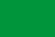 plain green