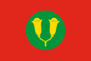 red, green disc, two yellow cloves